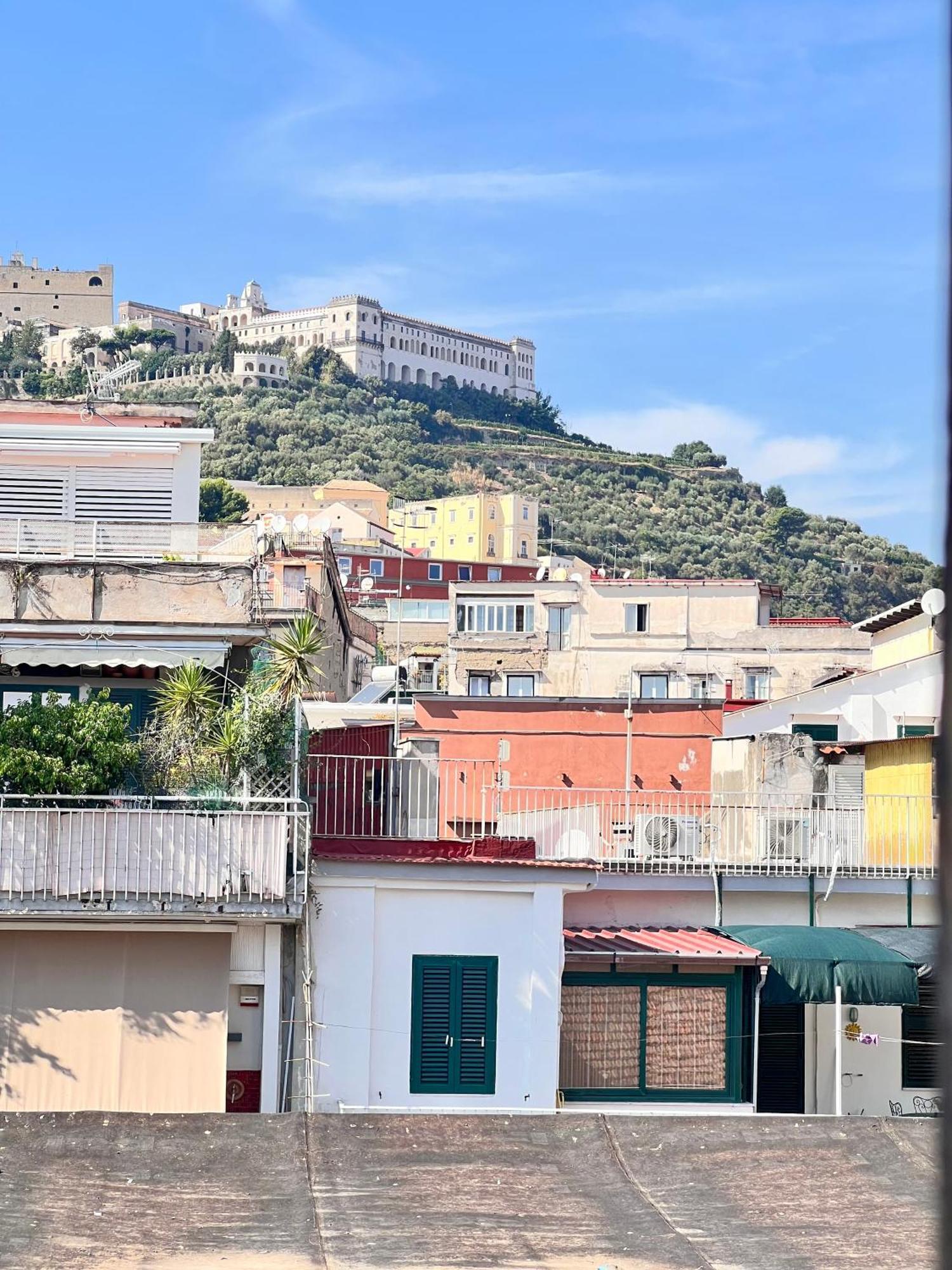 Lion * Napoli