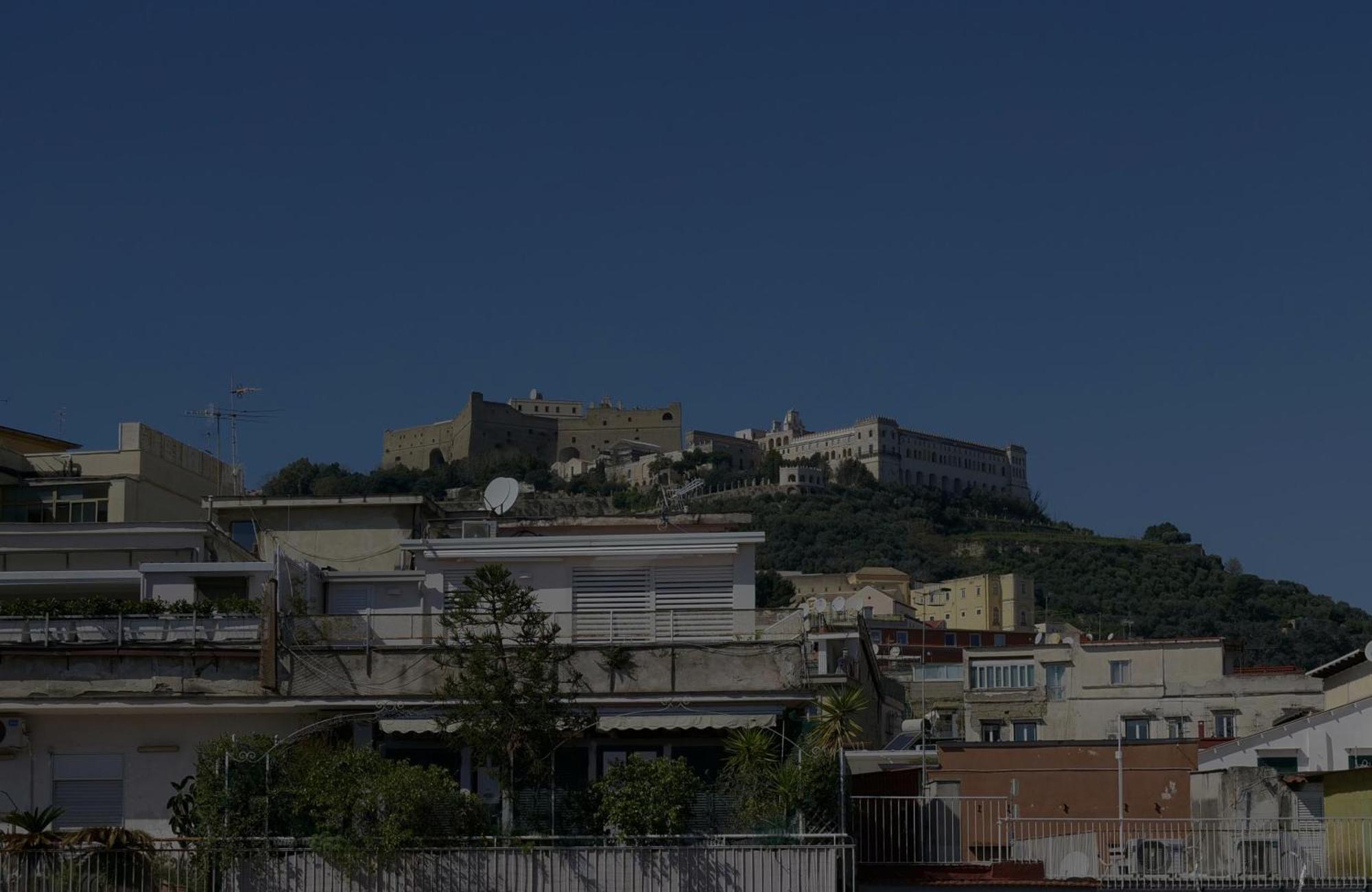 Lion * Napoli