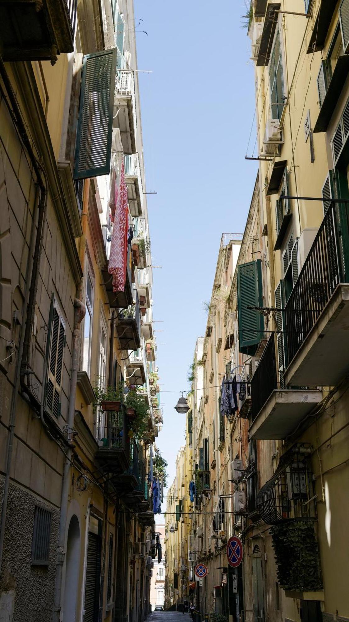 Lion Napoli