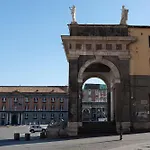 Lion Suite